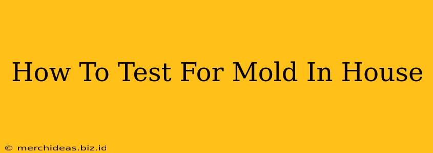 How To Test For Mold In House