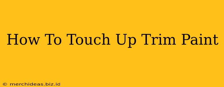 How To Touch Up Trim Paint