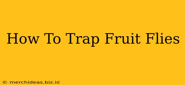 How To Trap Fruit Flies