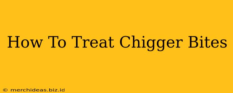 How To Treat Chigger Bites