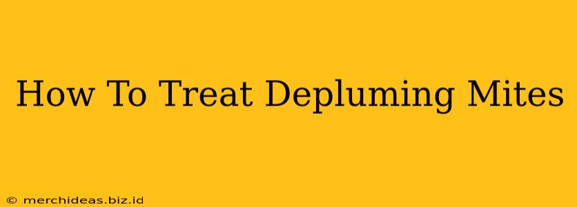 How To Treat Depluming Mites