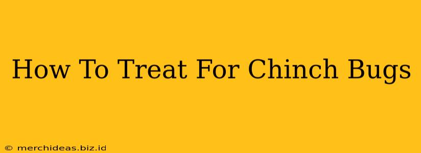 How To Treat For Chinch Bugs
