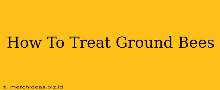 How To Treat Ground Bees