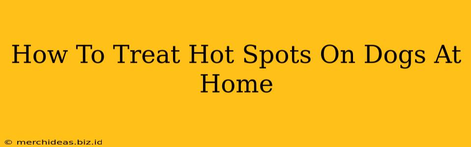 How To Treat Hot Spots On Dogs At Home