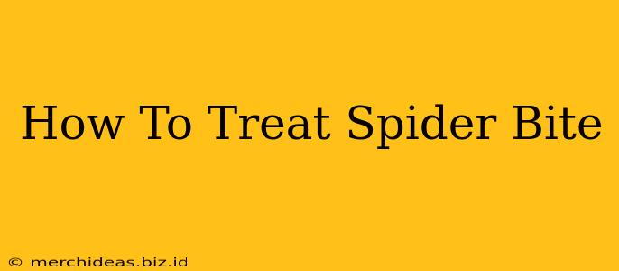 How To Treat Spider Bite