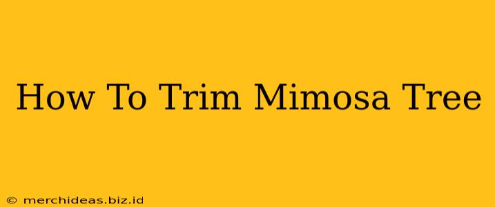 How To Trim Mimosa Tree