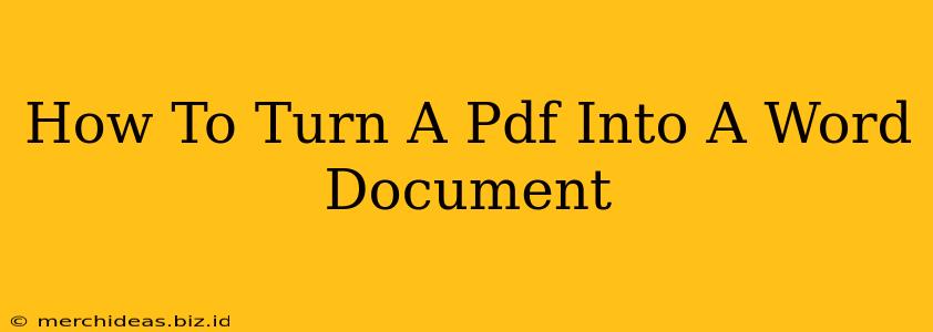 How To Turn A Pdf Into A Word Document