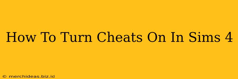 How To Turn Cheats On In Sims 4