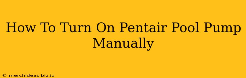 How To Turn On Pentair Pool Pump Manually