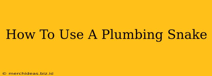 How To Use A Plumbing Snake