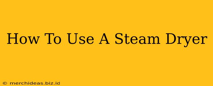 How To Use A Steam Dryer