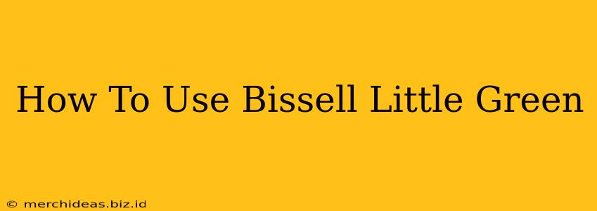 How To Use Bissell Little Green