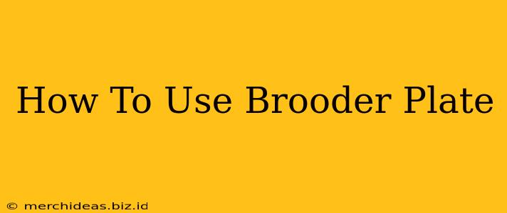 How To Use Brooder Plate