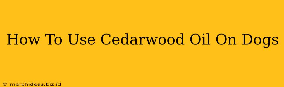 How To Use Cedarwood Oil On Dogs