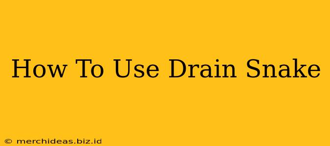 How To Use Drain Snake