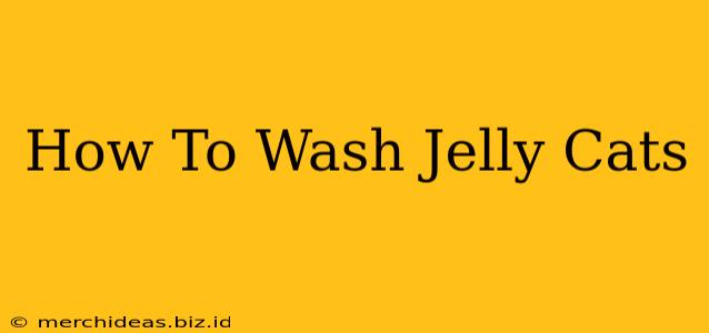 How To Wash Jelly Cats