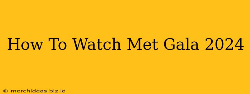 How To Watch Met Gala 2024