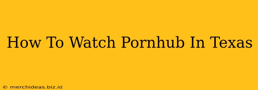 How To Watch Pornhub In Texas