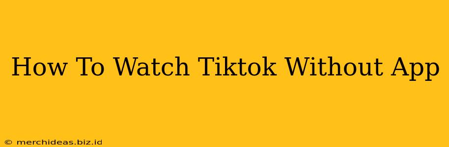 How To Watch Tiktok Without App