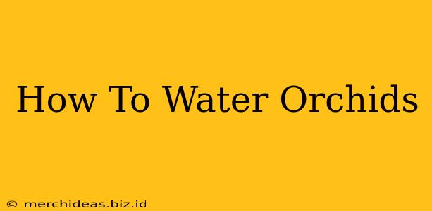 How To Water Orchids