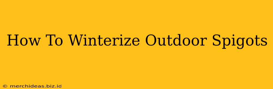 How To Winterize Outdoor Spigots