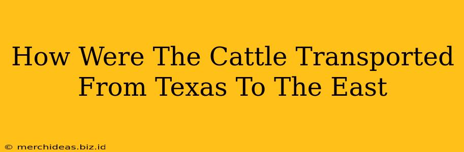 How Were The Cattle Transported From Texas To The East