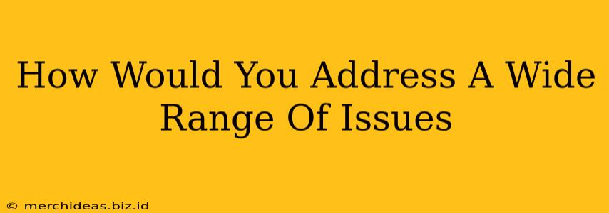 How Would You Address A Wide Range Of Issues