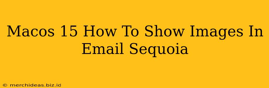 Macos 15 How To Show Images In Email Sequoia