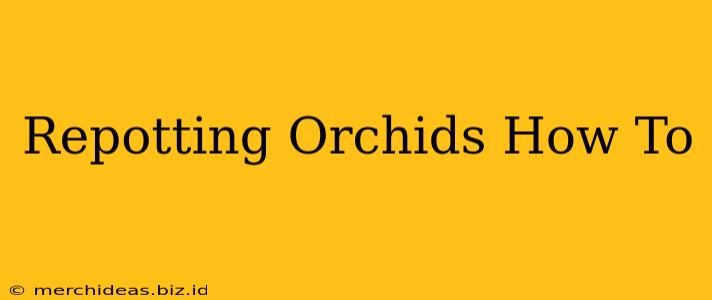 Repotting Orchids How To