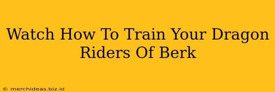 Watch How To Train Your Dragon Riders Of Berk