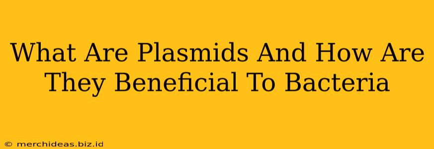 What Are Plasmids And How Are They Beneficial To Bacteria