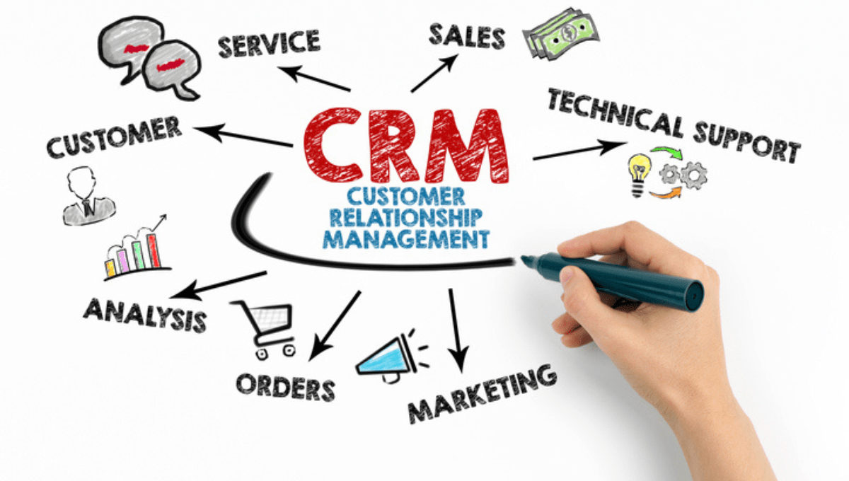 Small Business CRM Maintenance in 2025: Your Ultimate Guide to Success