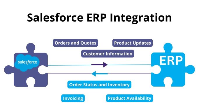 Seamlessly Connecting: A Comprehensive Guide to CRM Integration with Salesforce
