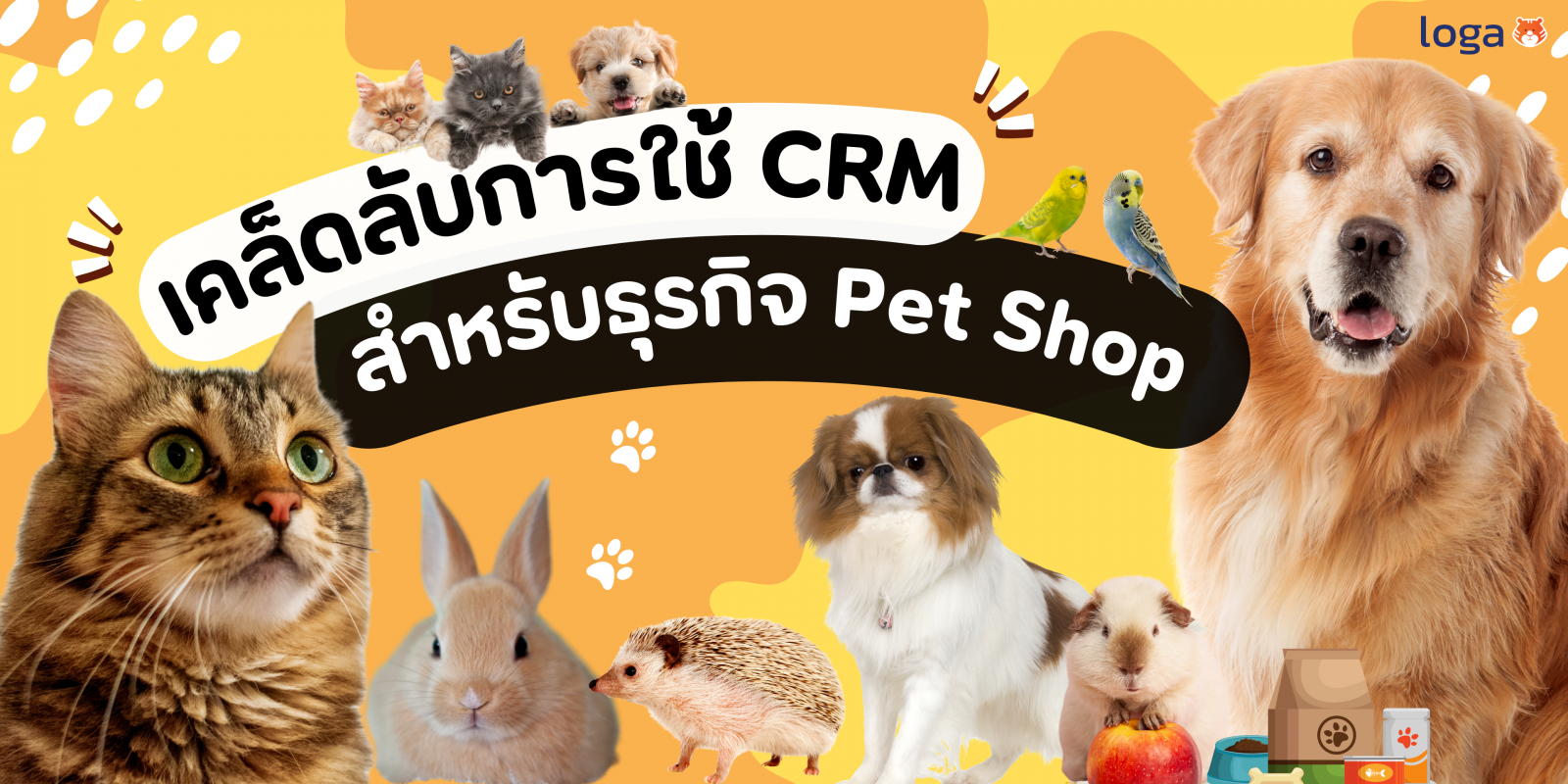 The Ultimate Guide to the Best CRM for Small Pet Stores: Streamline Your Business and Delight Your Customers