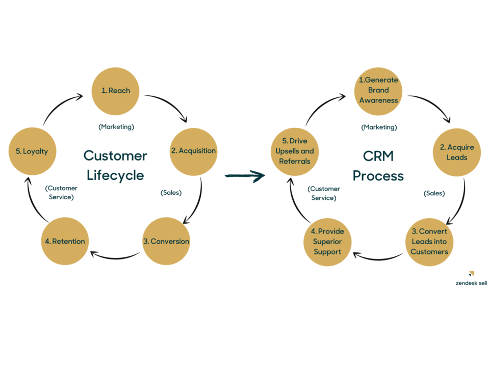 CRM Marketing Case Studies: Real-World Success Stories and Strategies for Growth