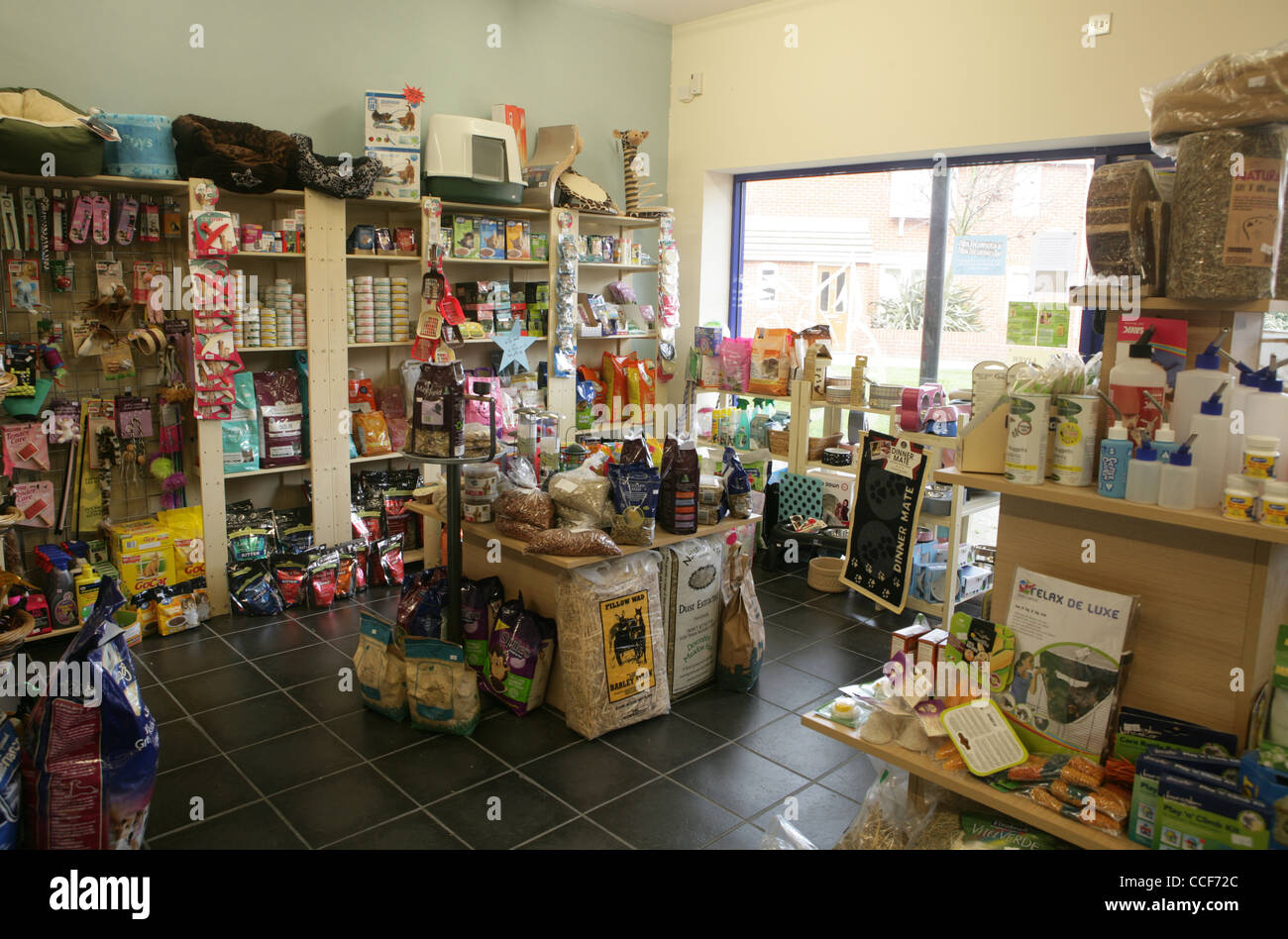 Purrfect Partnerships: Unveiling the Best CRM Systems for Thriving Small Pet Stores
