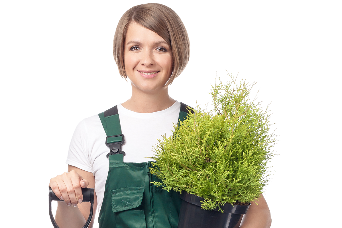 Best CRM for Small Gardeners: Cultivating Growth and Blooming Relationships