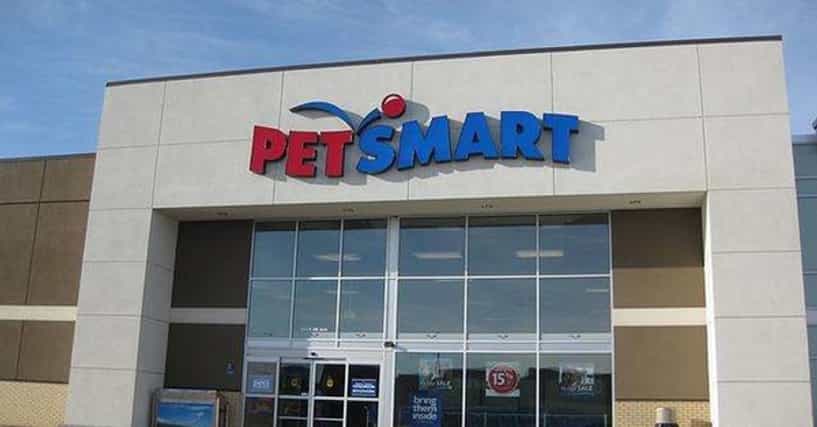 The Ultimate Guide to the Best CRM for Small Pet Stores: Boost Your Business and Delight Customers